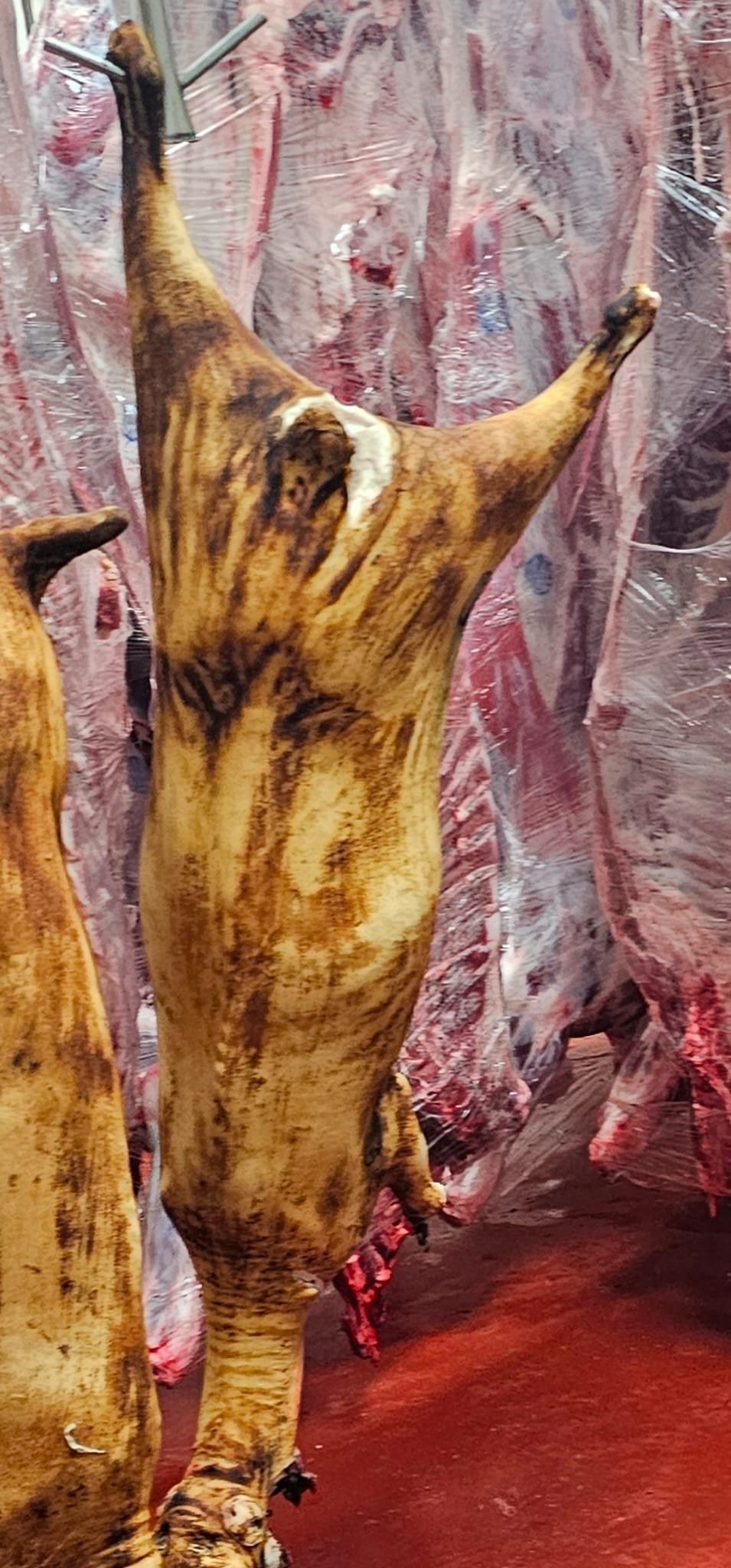 Goat Meat - Burnt Skin-on