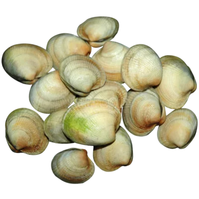 CLAMS PASTANECK 5 LB BAG LIVE