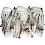 FRESH CRAB