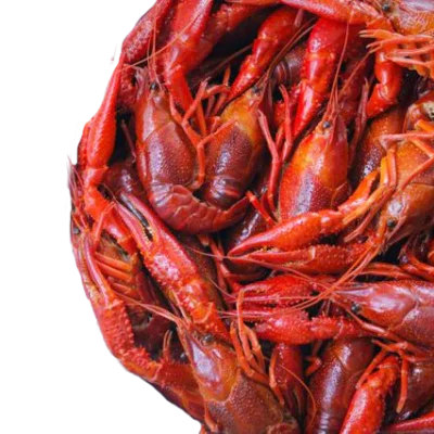 CRAWFISH / CRAYFISH WHOLE 5LB FROZEN