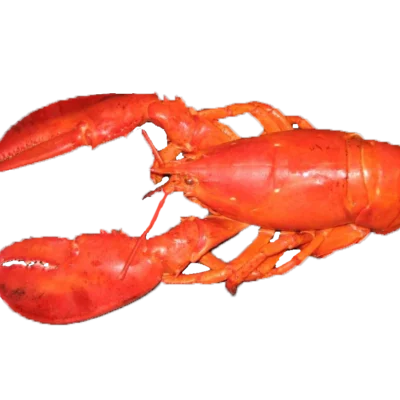 LOBSTER BABY BOIL 2pc/pk FROZEN 600g