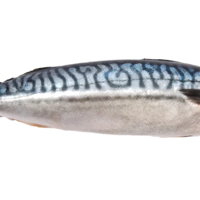 MACKEREL WHOLE 4LB BAG FROZEN