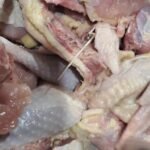 STEWING HEN (OLD LAYERS – CHICKEN)