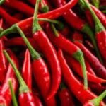 LONG HOT PEPPERS