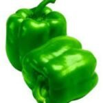 GREEN BELL PEPPERS