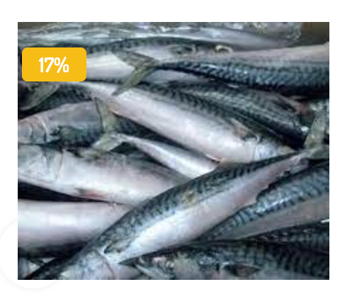 MACKEREL FISH